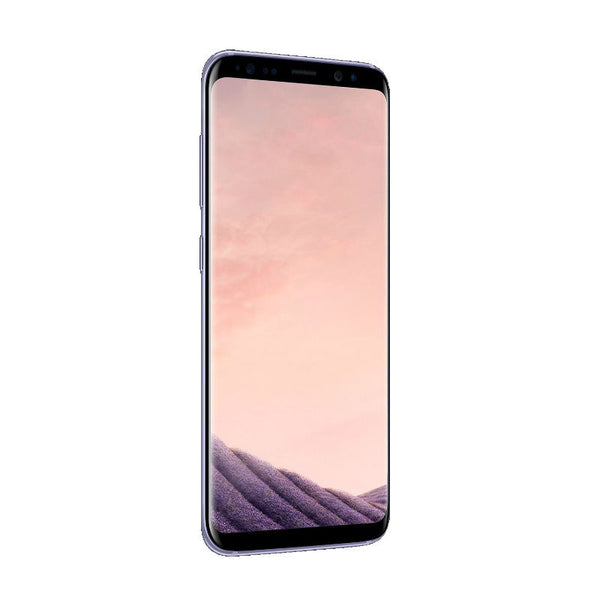 Samsung Galaxy S8 Dual 64GB 4G LTE Orchid Gray (SM-G9500) Unlocked