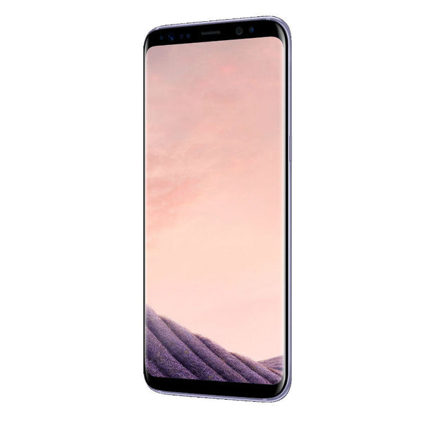 Samsung Galaxy S8 Dual 64GB 4G LTE Orchid Gray (SM-G9500) Unlocked