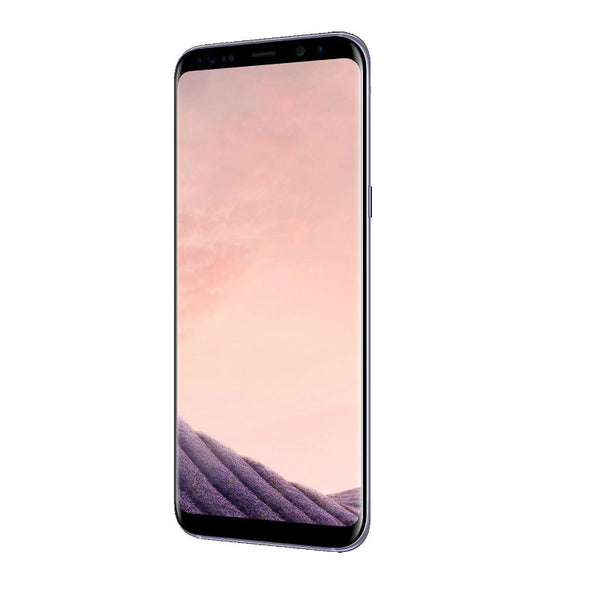 Samsung Galaxy S8+ Dual 128GB 4G LTE Orchid Gray (SM-G9550) Unlocked