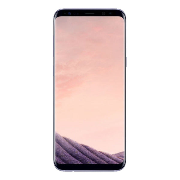 Samsung Galaxy S8+ Dual Sim 64GB 4G LTE (SM-G955FD) Orchid Gray Unlocked